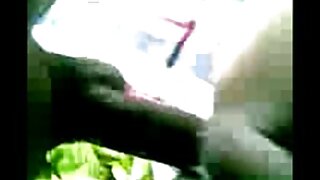 Ակնոցներով երկչոտ աղ ...