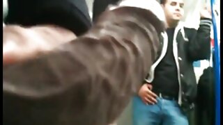 Չարաճճի խոզապոչ ճուտ ...