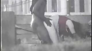 Էբենեսային բիծը համե ...